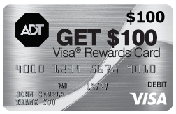 large-visa-card